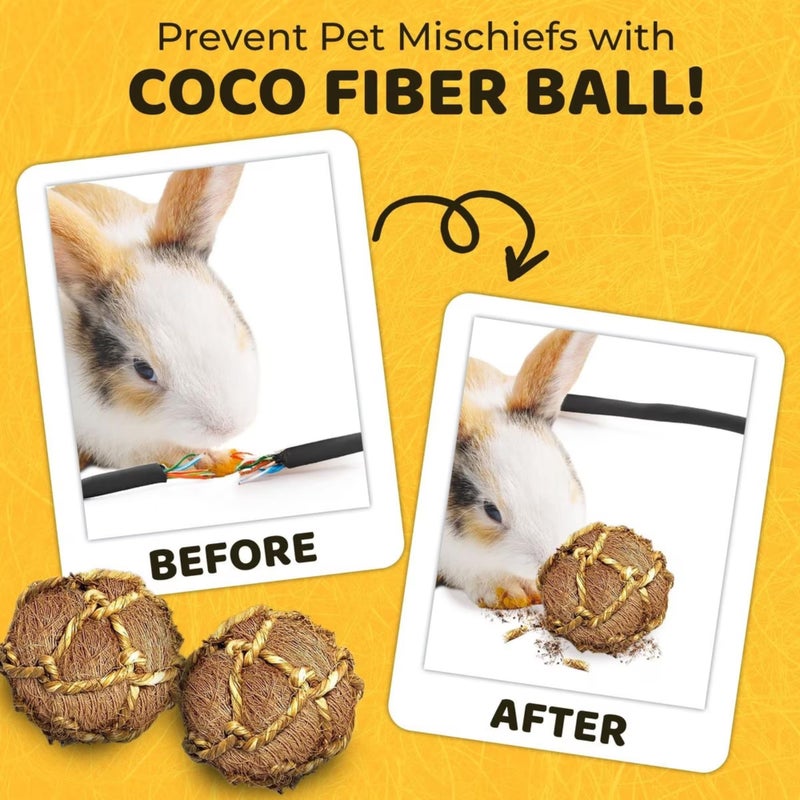 SunGrow Guinea Pig Coconut Fiber Balls, Improves Oral Wellness, Environment Friendly, Stress Reliever, Ideal for Chew Item for Rabbits, Chinchilla & Kitten (3 Pieces) - Image 5
